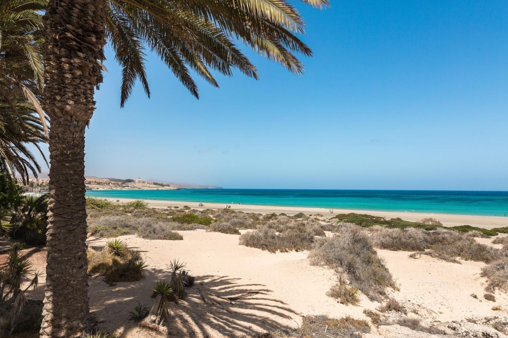 Apartment Home2book Sea View & Terrace Escape, Playa Paraiso *