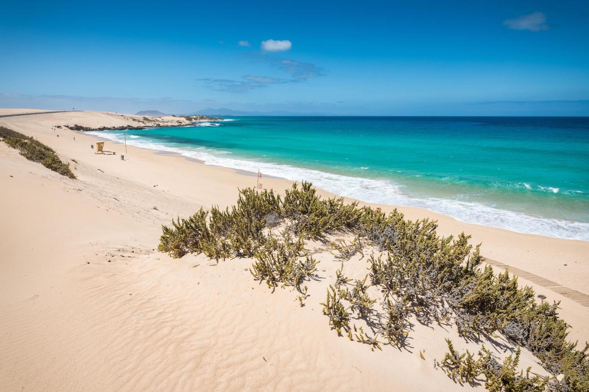 Home2book Sea View & Terrace Escape, Playa Paraiso Apartment *